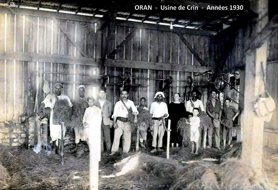 1718- Oran- Usine de crin - Annees 30.jpg